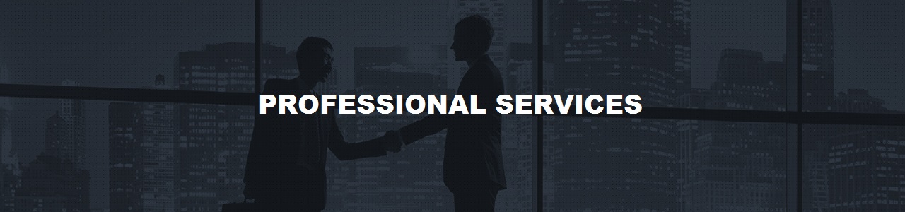 professional-2